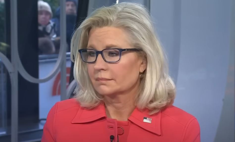 Liz Cheney Net Worth