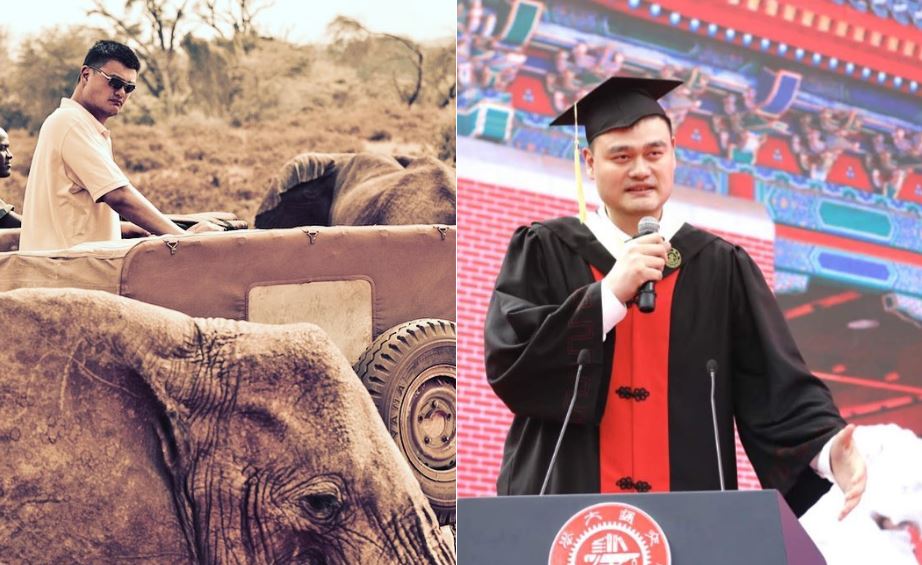 Yao Ming Net Worth
